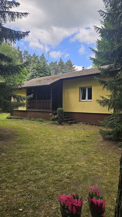 Wyjątkowa działka z domkiem letniskowym 3 minuty od rzeki Bug – 700 m² Brańszczyk - Widok 2