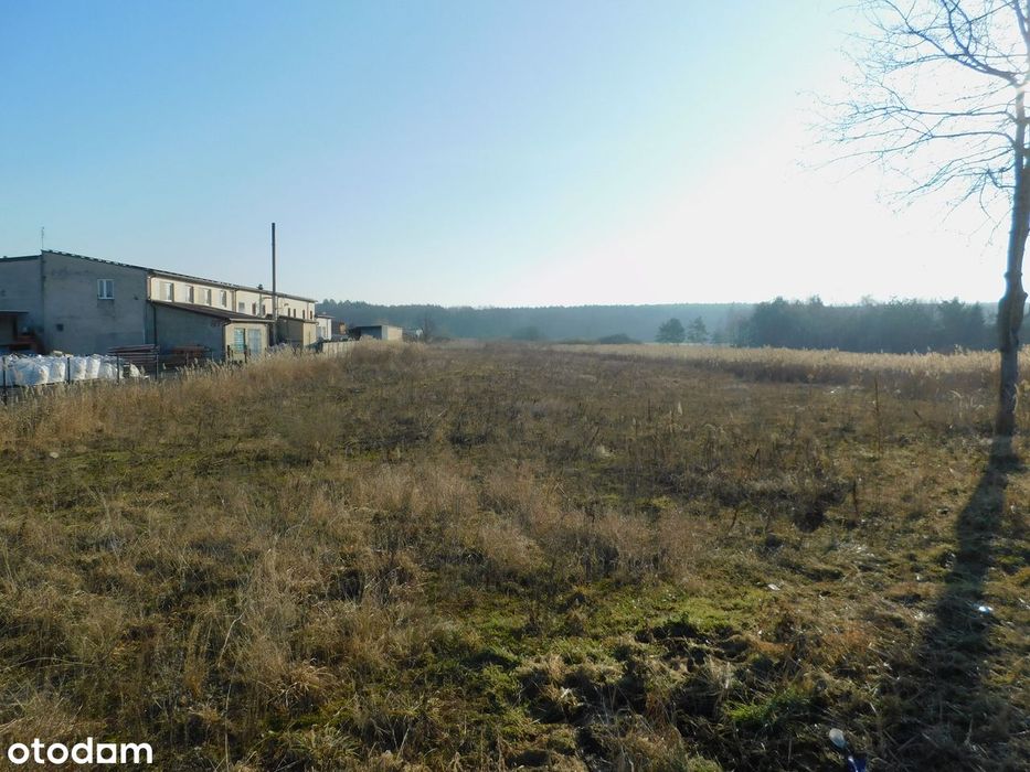 Syndyk sprzeda - Mogielnica, dz. nr 1657 i 1746