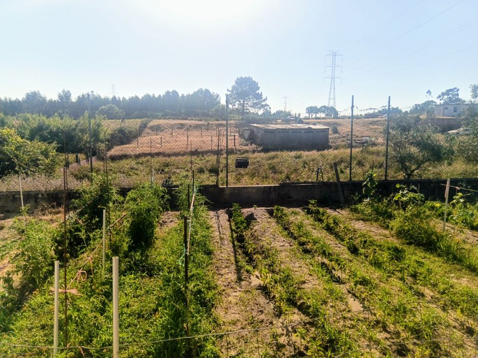 Quinta com 12000 m2 na Quinta do Anjo - venda a pronto pagamento