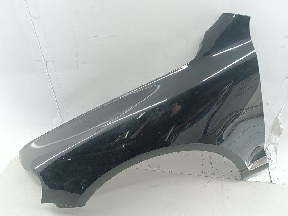 Guarda Lamas Esquerdo - VOLKSWAGEN Touareg (7LA, 7L6, 7L7) | 02 - 13