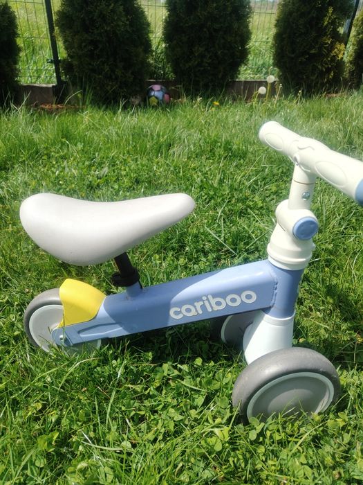 Mini rowerek cariboo