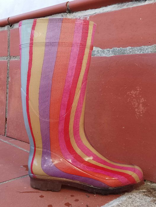 Galochas (botas borracha) coloridas