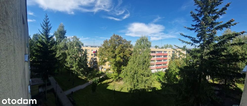 Zdjęcie 6