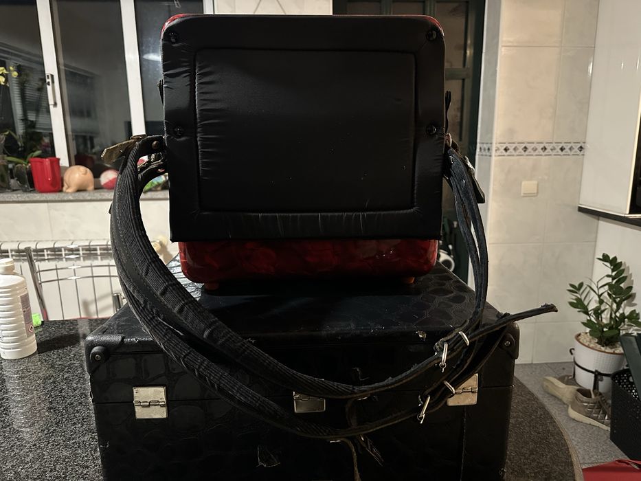 Concertina Paolo Soprani France - Made in Italy