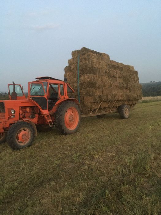 Сіно в тюках ціна 70