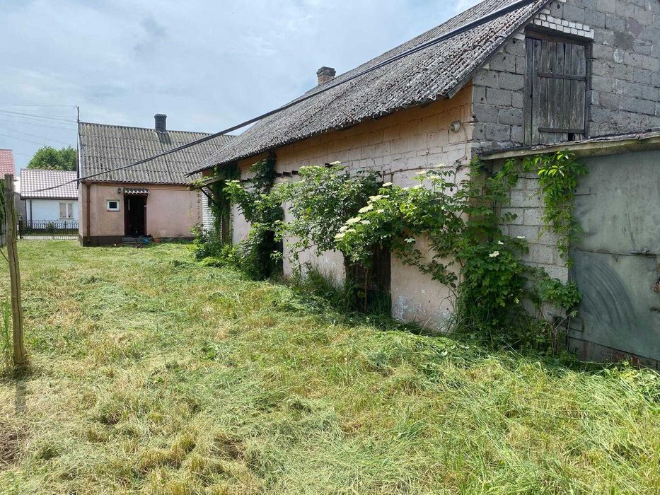 Sprzedam dom z zabudowaniami – Mroczków Duży, gm. Opoczno - View 2
