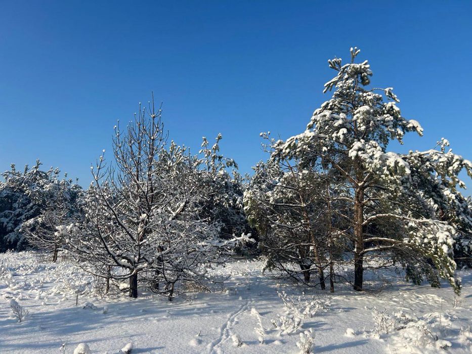 Земельна ділянка 5 га! Колонщина!