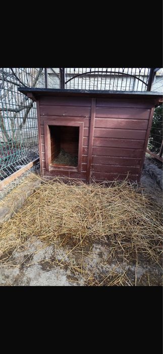 Продам Будку б/у для собаки великого розміру у дуже гарному стані, утеплена.