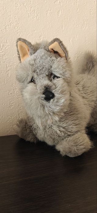steiff собачки схожі на douglas іграшки