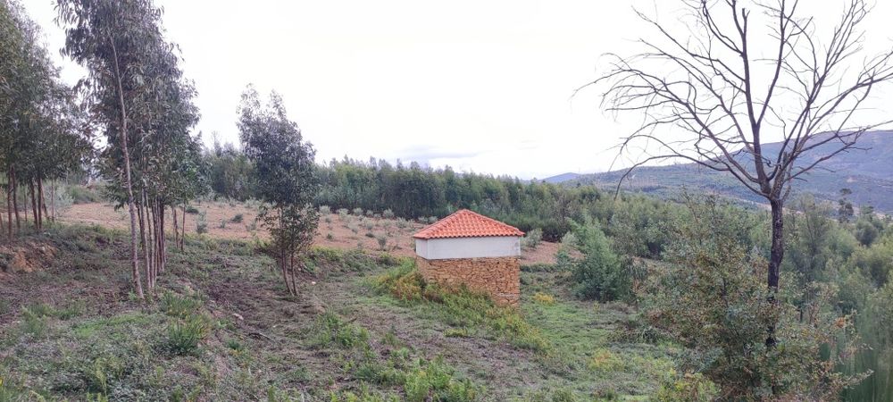 Terreno com 17.000m² e Ruína em Vinho – Vila Cova de Alva, Arganil