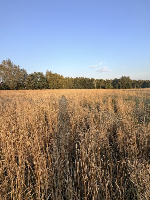Działka rolno-budowlana 9190 m² Mszana k.Wodzislawia Śl.
