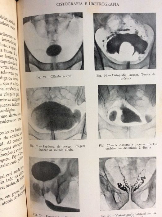 Iniciação à urologia clínica , 1944