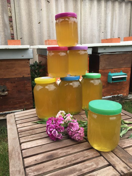 Домашний  натуральний мед !!!