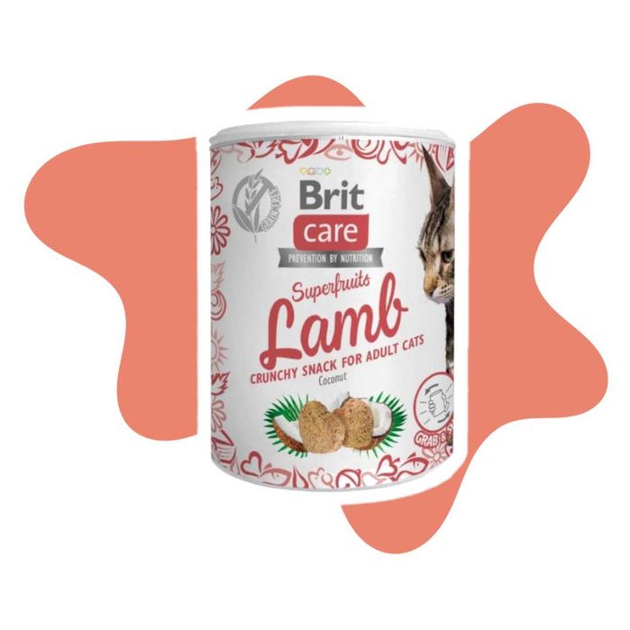 Brit Care Cat Snack Superfruits Lamb 100g jagnięcina i kokos