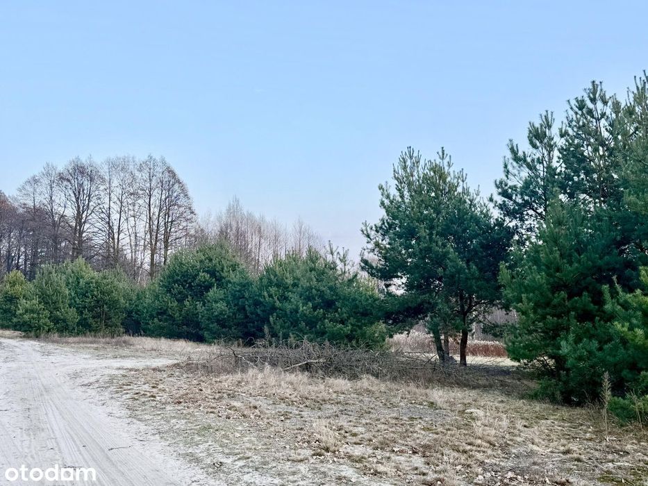 Zagościniec - zabud.wolnost. i bliźn. blisko szkoły, możl. podziału - Widok 2