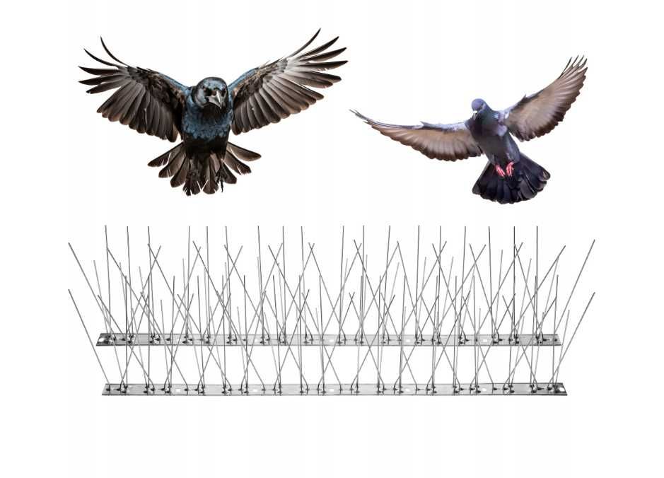 Kolce na ptaki / gołębie listwa metalowa 10x 50cm