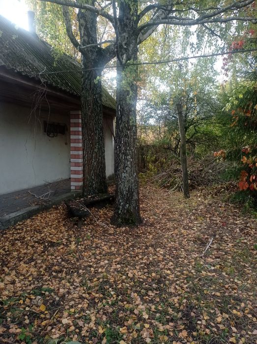 Газифікований будинок в селі Олишівка. Вода в будинку. БАНЯ.