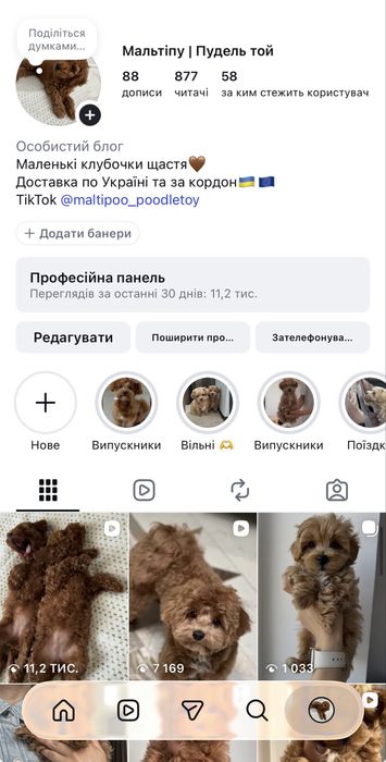 Клубочки малесенькі