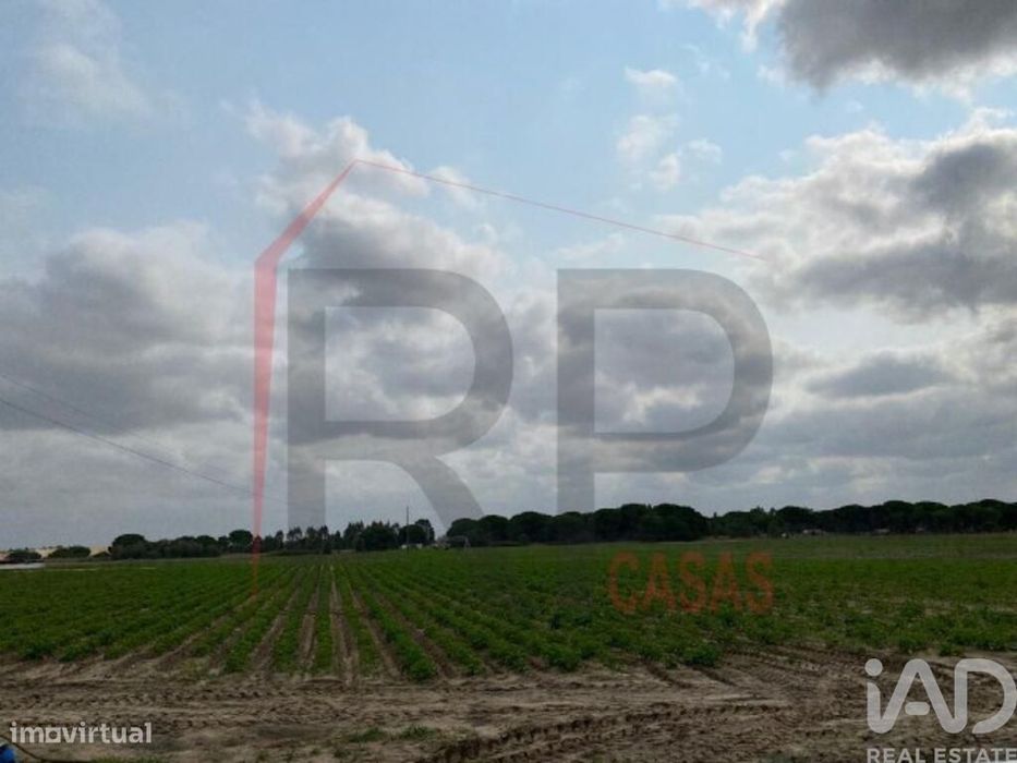 Terreno Agrícola em Pegões