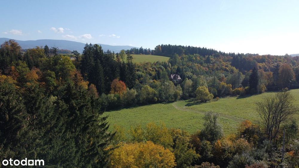 Budowlane | Zieleniec | Czarna Góra