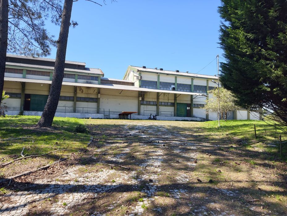 Armazem olival - liçenca industria