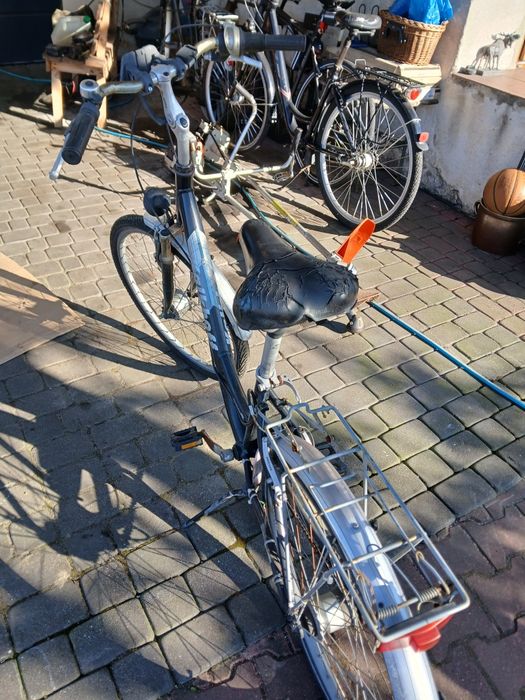 Rower Kalkhoff damka