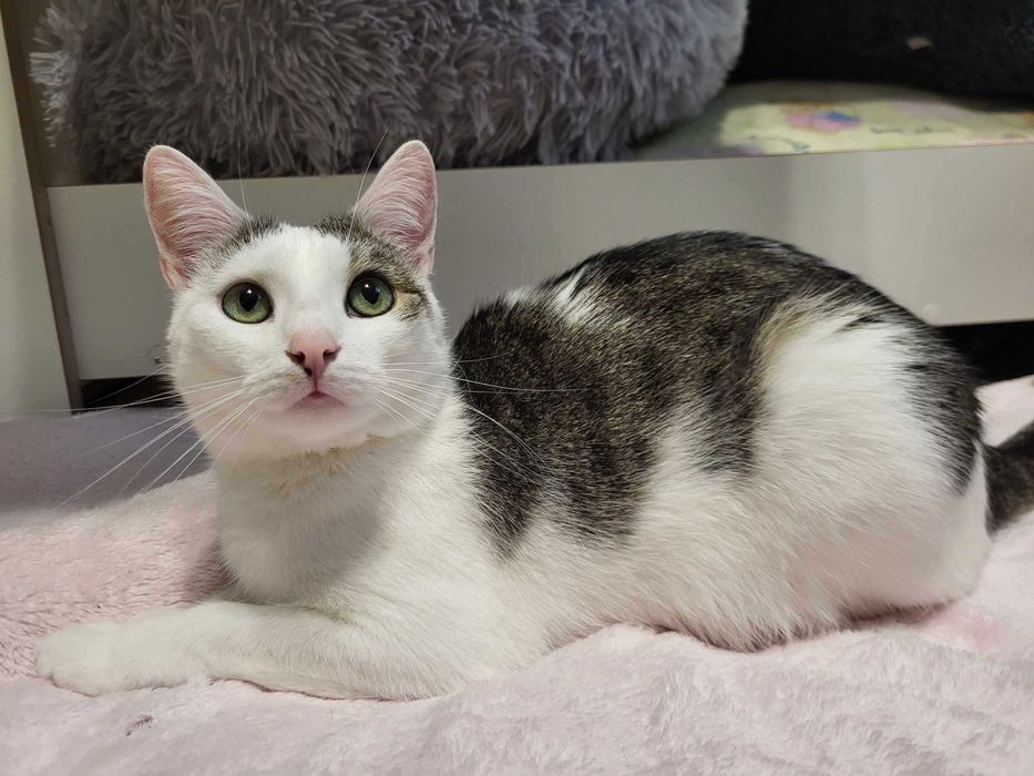 Lenka szuka swojego człowieka