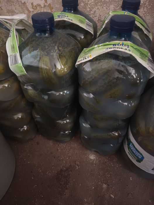 Ogórki kiszone bańka 5 l
