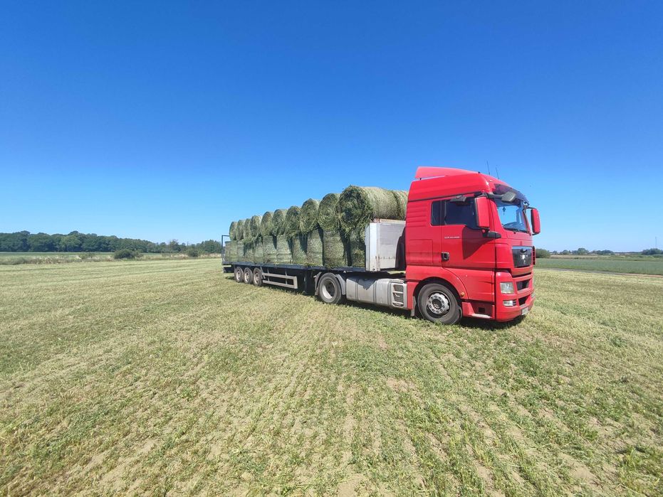 Sianokiszonka Lucerki