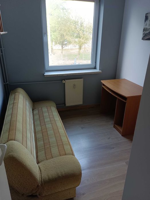 Wynajmę mieszkanie obok Uniwersytetu Medycznego.