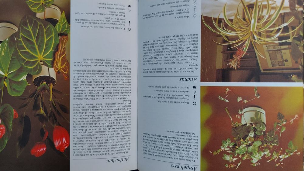 O livro das Plantas de Rob Herwig & Claude Riou