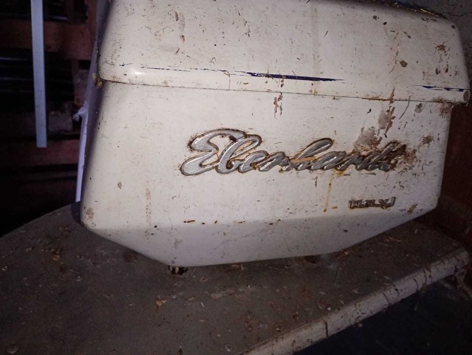 Тестомишилка догорная