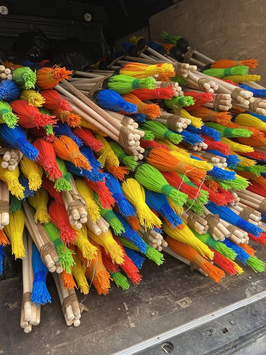 Мітла колярова