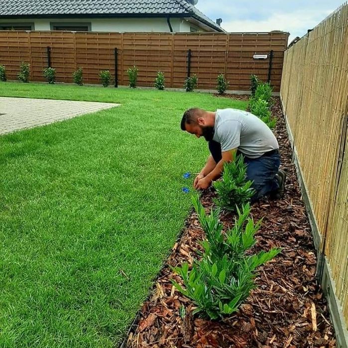 Nawodnienie, zakładanie trawników