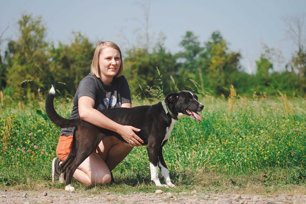 Terenia - śliczna sunia szuka domu