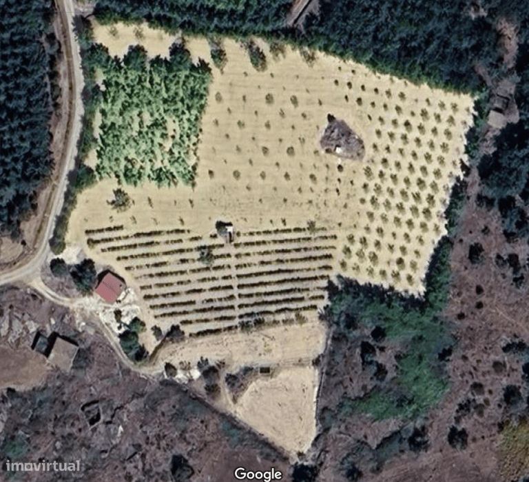 Venda de terreno — Penela da Beira, Viseu