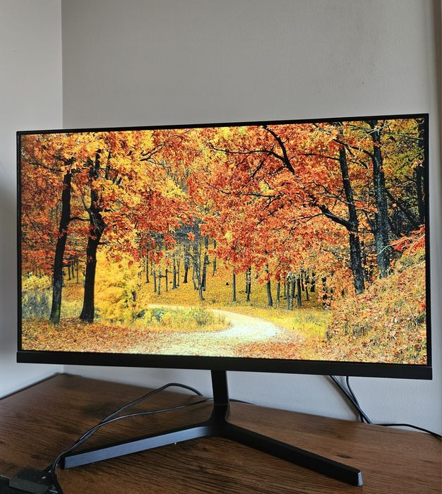 Xiaomi Mi 23.8" Desktop Monitor 1C