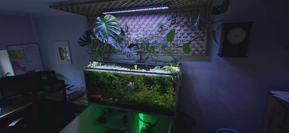 Akwarium OptiWhite 240l