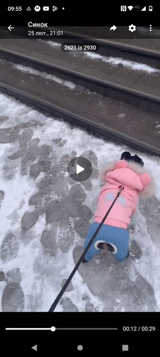 Комбинезон зимовий  для маленької собаки