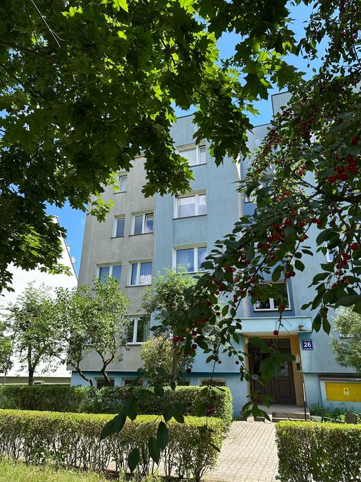 "3 pokoje/Duży balkon/2 pietro/Do remontu/Wołów/Świetna lokalizacja"