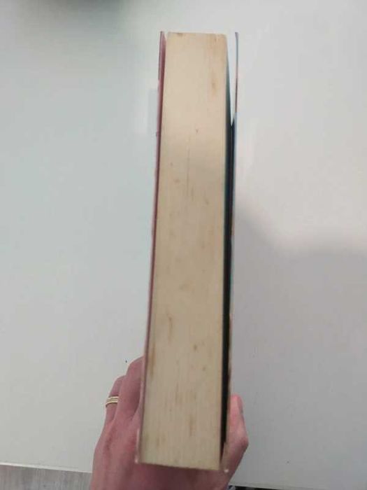 Livro Um amor inesperado de Susan Lewis