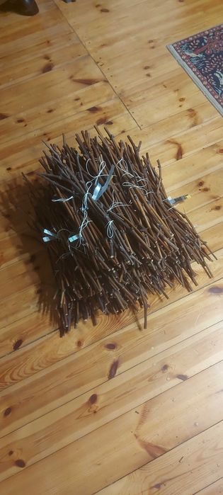 Sztobry winorośli deserowych