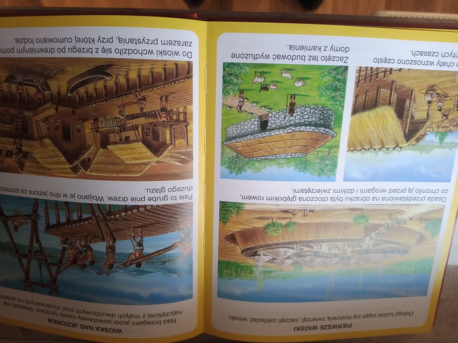 Księga dinozaurów i prehistorii