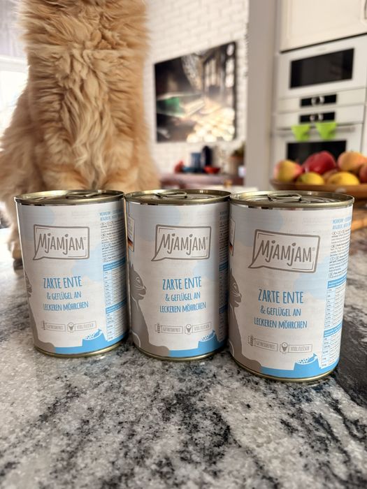 Karma dla kota Mjamjam