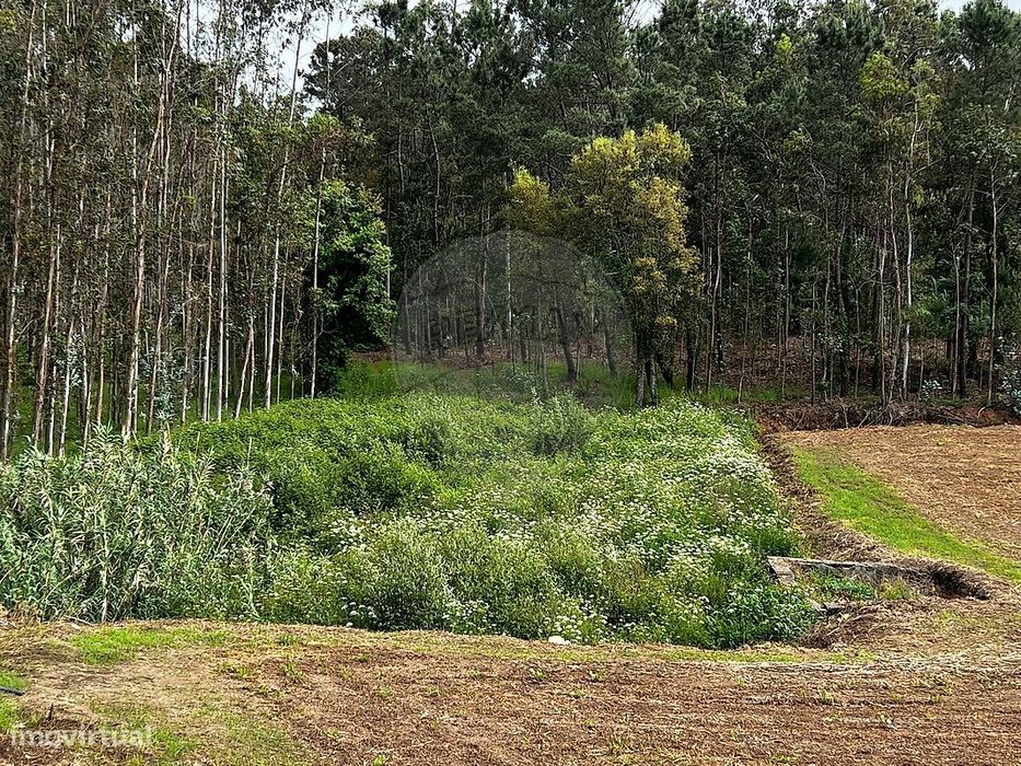 Terreno  para venda
