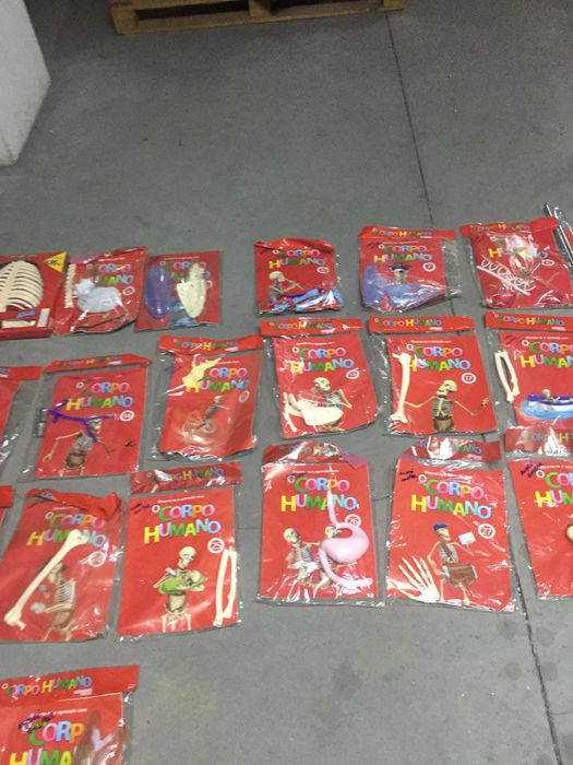 34 peças de um esqueleto