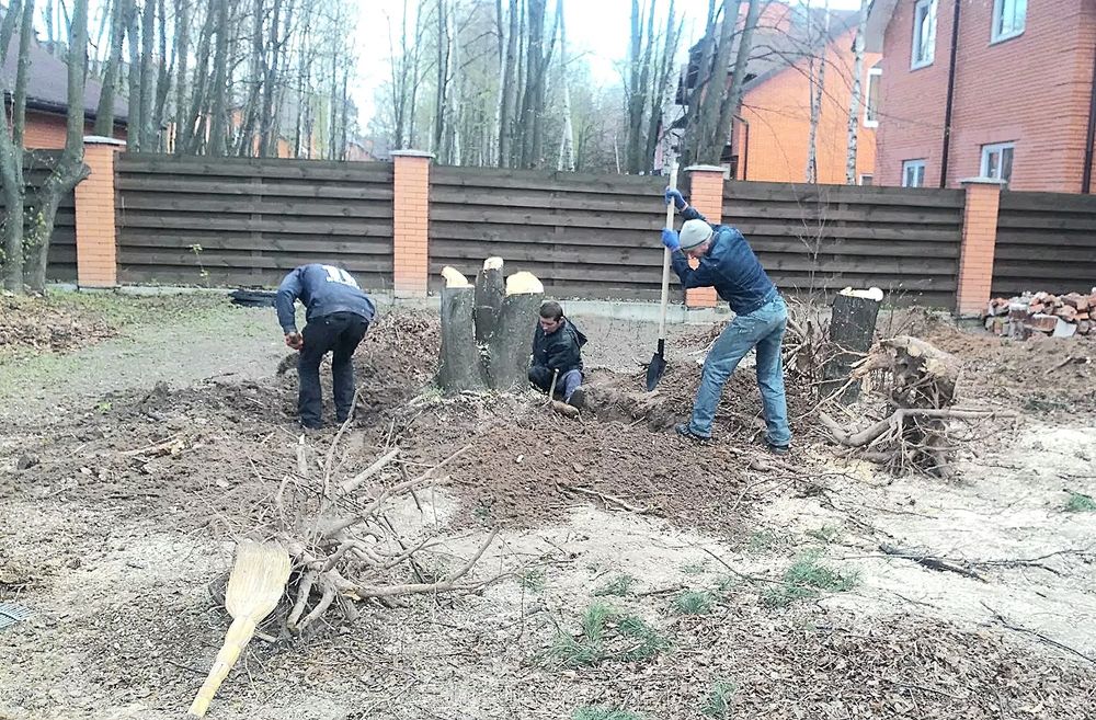Рассчистка любых заросших территорий покос травы спил и обрезка деревьев вывоз веток и мусора с участка