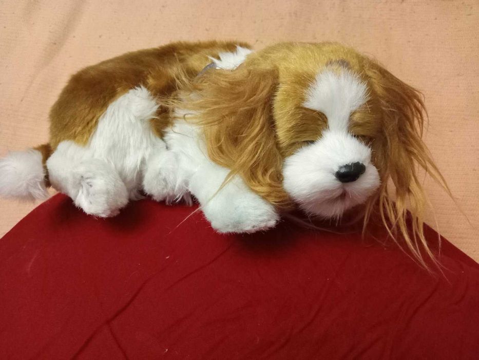 Пупсы куклы игрушки