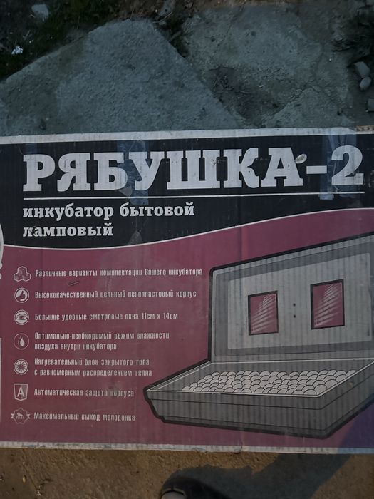Інкубатор рябушка 2
