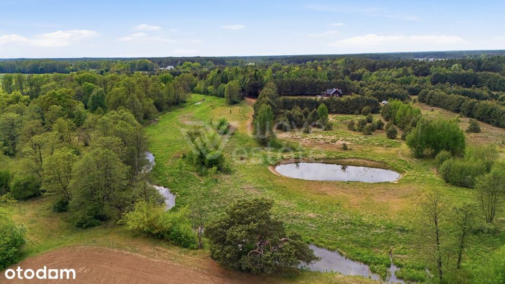 Działka ze stawem blisko Narwi – Małe Mazury - Widok 2